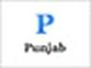 পাঞ্জাব দল